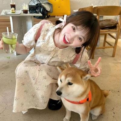 小象寻母
